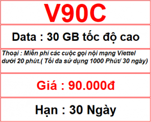 V90c 30gb