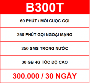 B300t Viettel