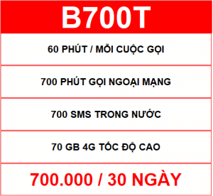 B700t Viettel
