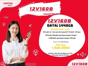 12v160b Viettel