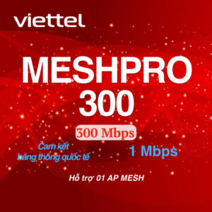 Gói cước Mesh Pro 300