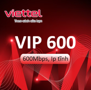 Gói Cước Cáp Quang Viettel Doanh Nghiệp VIP600