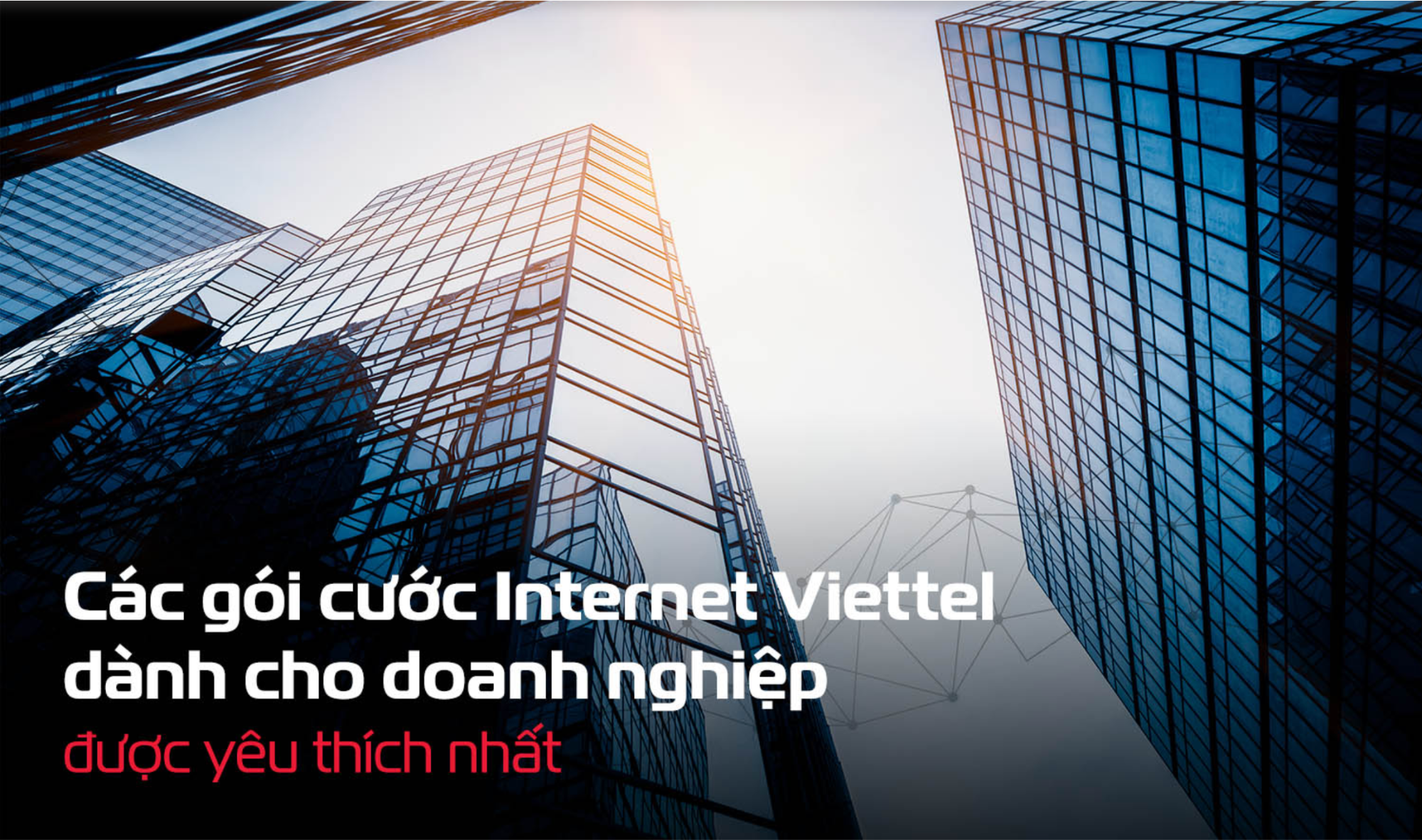 Gói cước internet Viettel cho doanh nghiệp mới nhất 2025